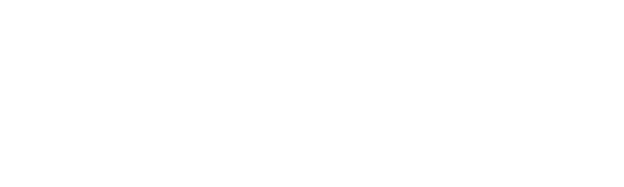 Steam