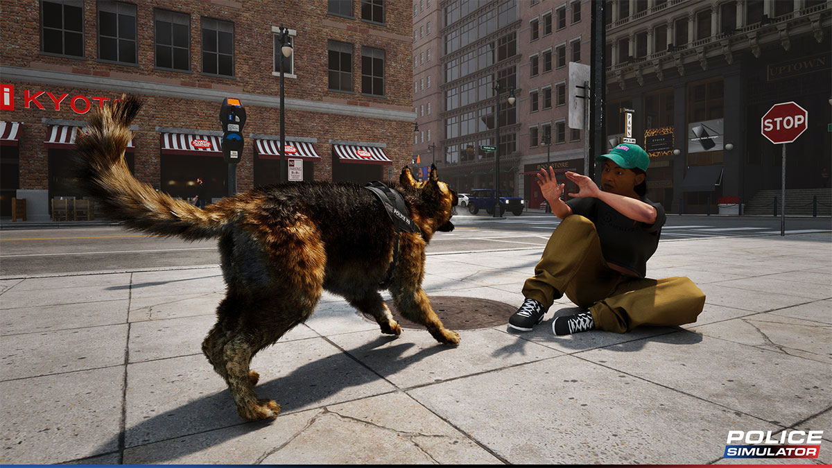 Police Simulator Screenshot